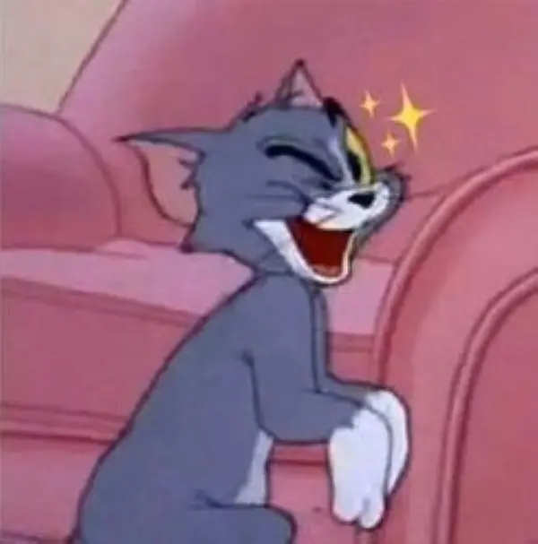 Meme Tom 12