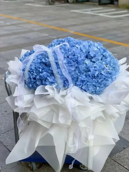 Bó hoa cẩm tú cầu xanh 2