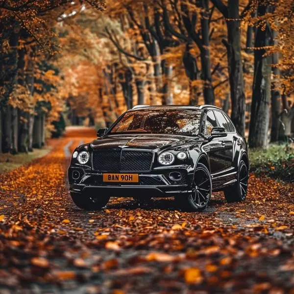 Bentley Bentayga 24