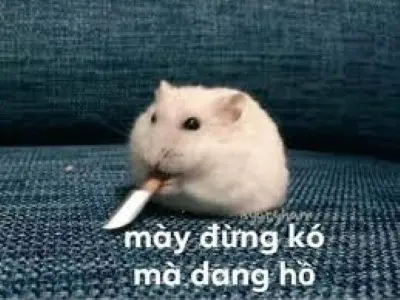 Meme chuột cầm dao 2