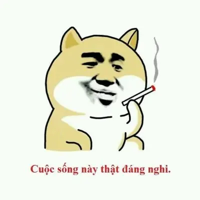 Meme cười khinh 1