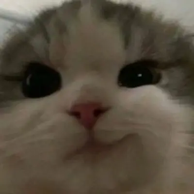 Meme cười khinh 6