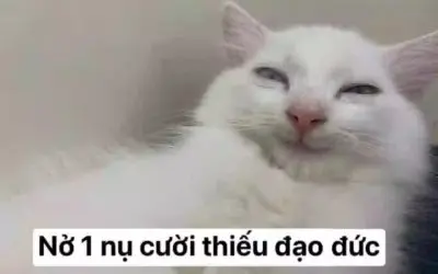 Meme cười khinh 7