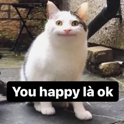 Meme cười bất lực 7