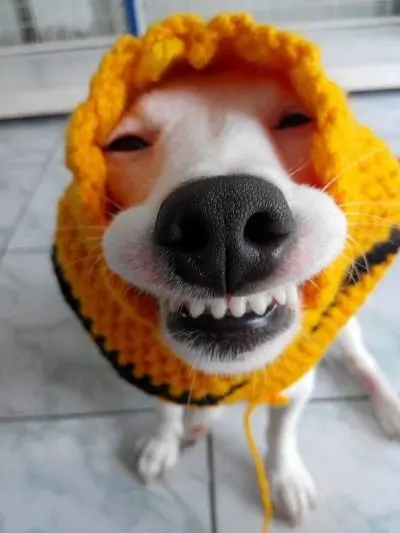 Meme cười đểu 2