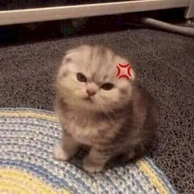Meme dỗi cute 4