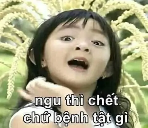 Ảnh bựa hài hước bá đạo 2