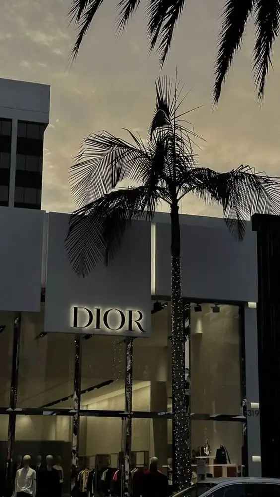 ảnh Dior 7