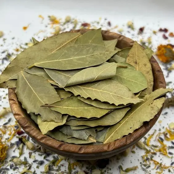 ảnh lá nguyệt quế 10