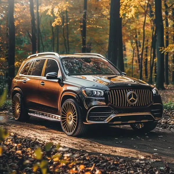 Maybach GLS 600 34
