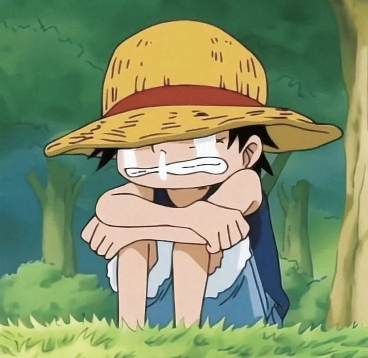 ảnh luffy lúc nhỏ 10