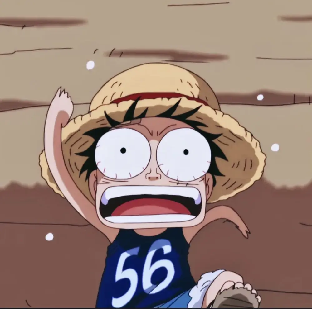 ảnh luffy lúc nhỏ 11