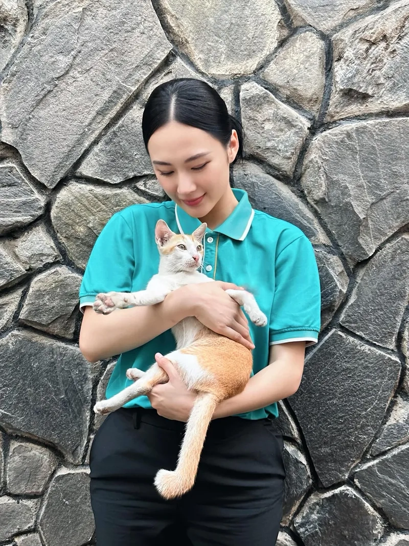 Sự thật về Angela Phương Trinh phẫu thuật có đúng không