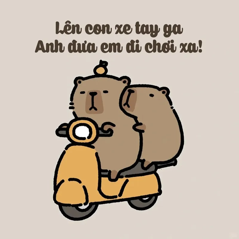 Capybara hình capybara chibi cute