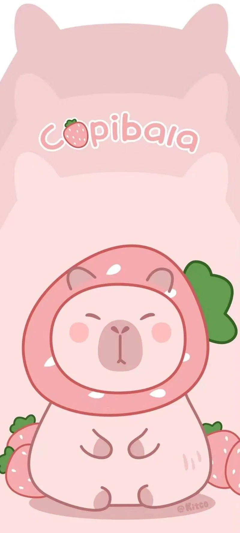 Chibi hình capybara chibi cute