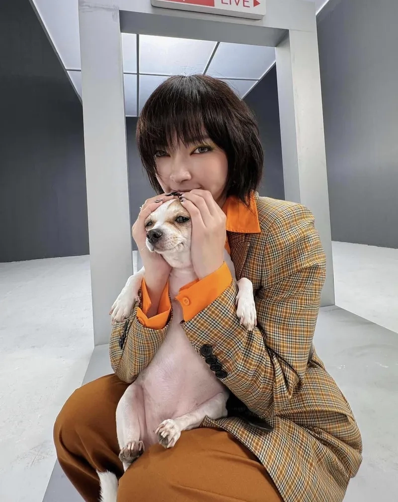 Châu Bùi phốt từng gây tranh cãi nhưng vẫn giữ sức hút